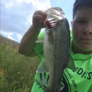 Meet your Posher, Austin